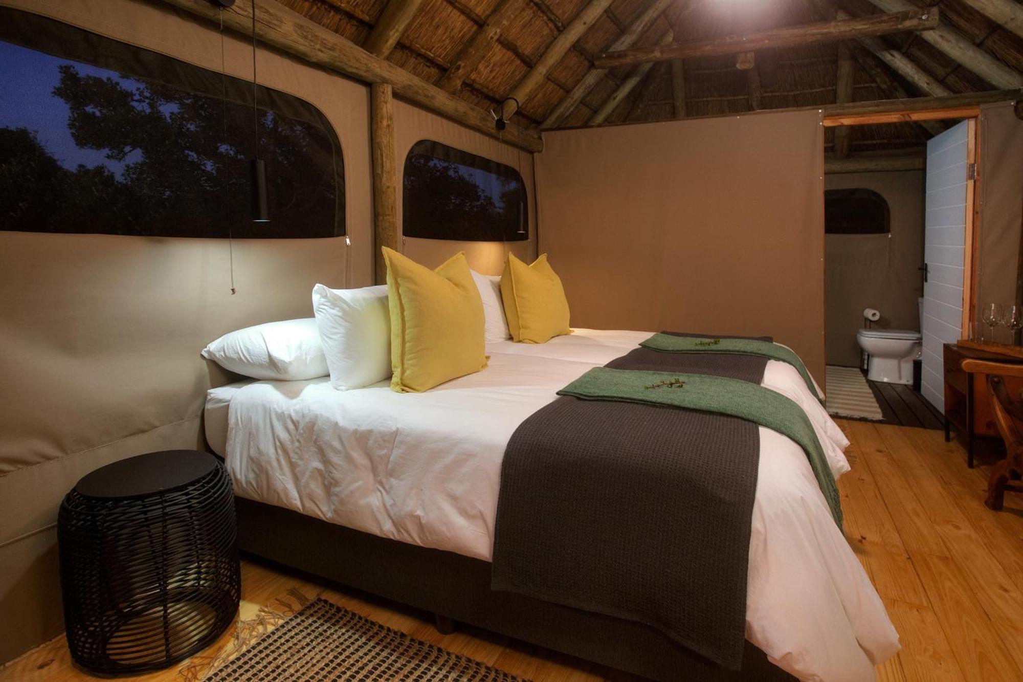 Addo Elephant Safari Lodge - Bellevue Forest Reserve Paterson Exterior photo