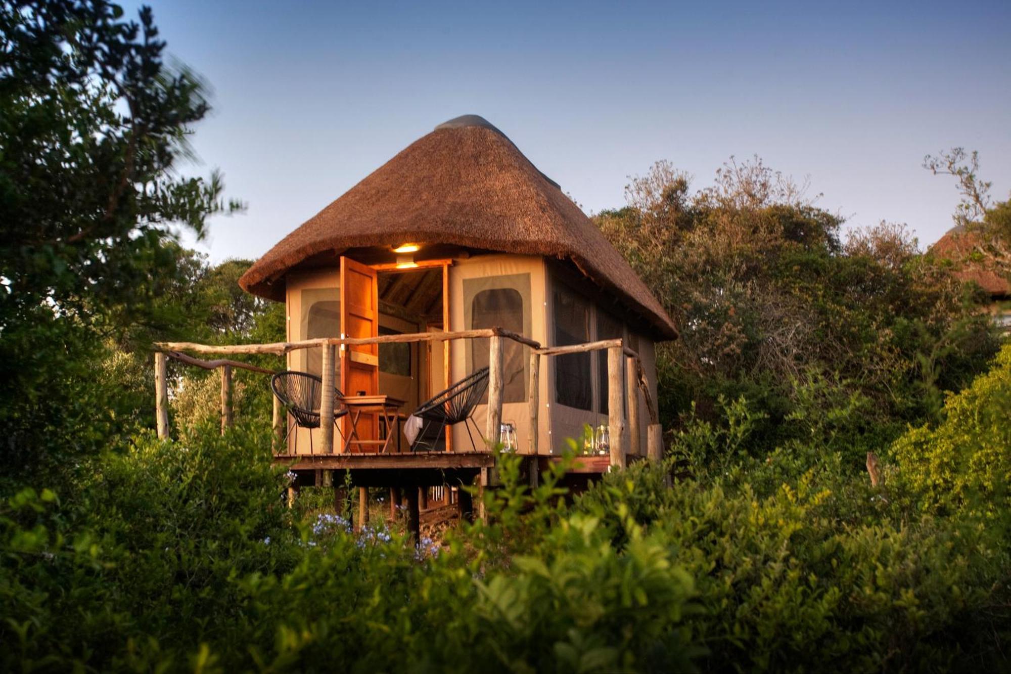 Addo Elephant Safari Lodge - Bellevue Forest Reserve Paterson Exterior photo