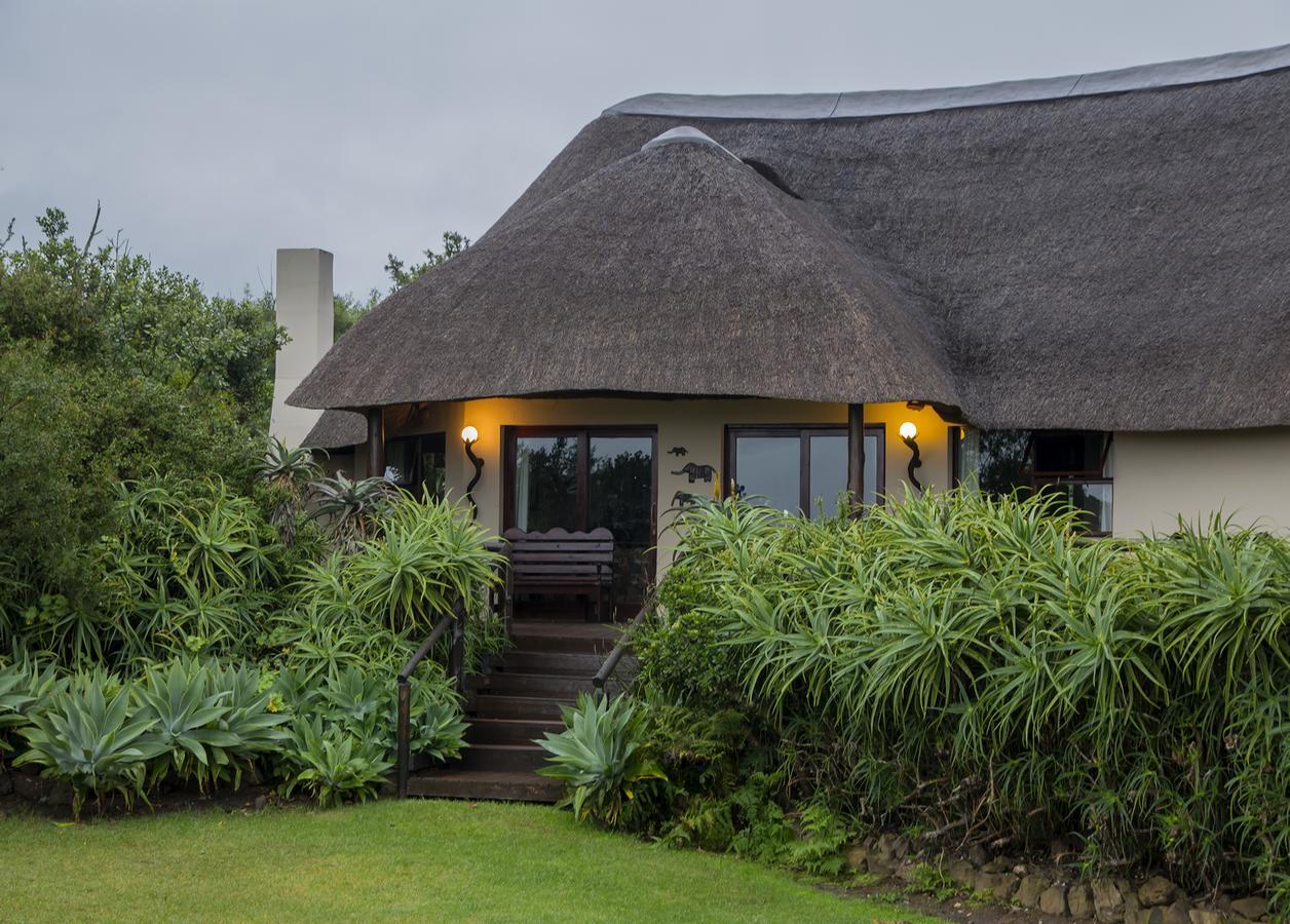 Addo Elephant Safari Lodge - Bellevue Forest Reserve Paterson Exterior photo