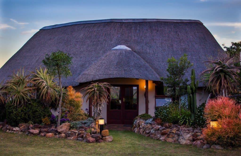 Addo Elephant Safari Lodge - Bellevue Forest Reserve Paterson Exterior photo
