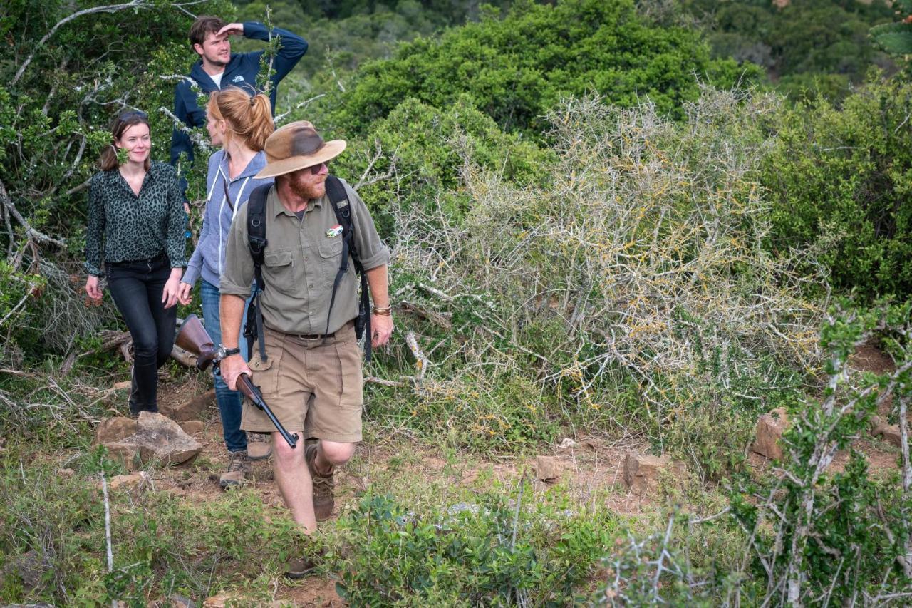 Addo Elephant Safari Lodge - Bellevue Forest Reserve Paterson Exterior photo