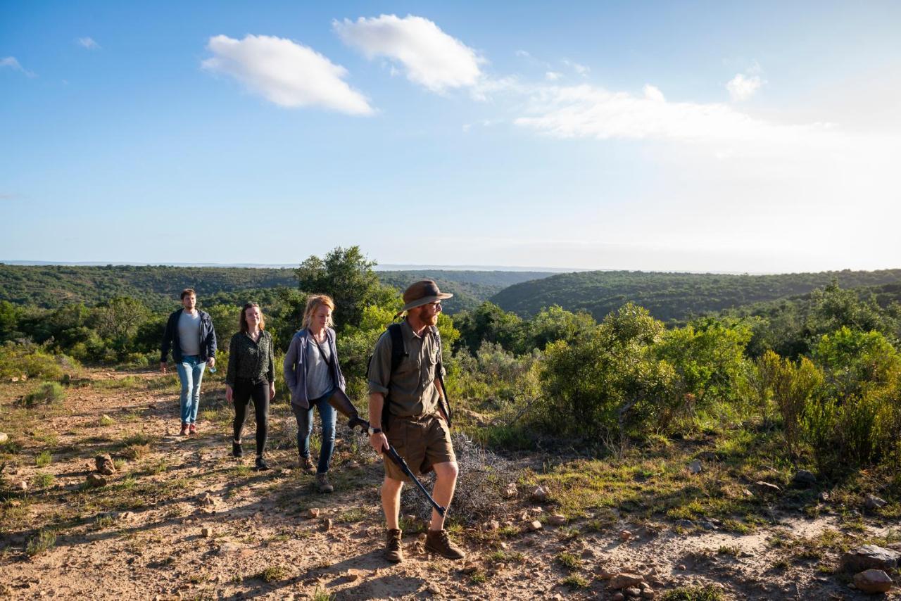 Addo Elephant Safari Lodge - Bellevue Forest Reserve Paterson Exterior photo