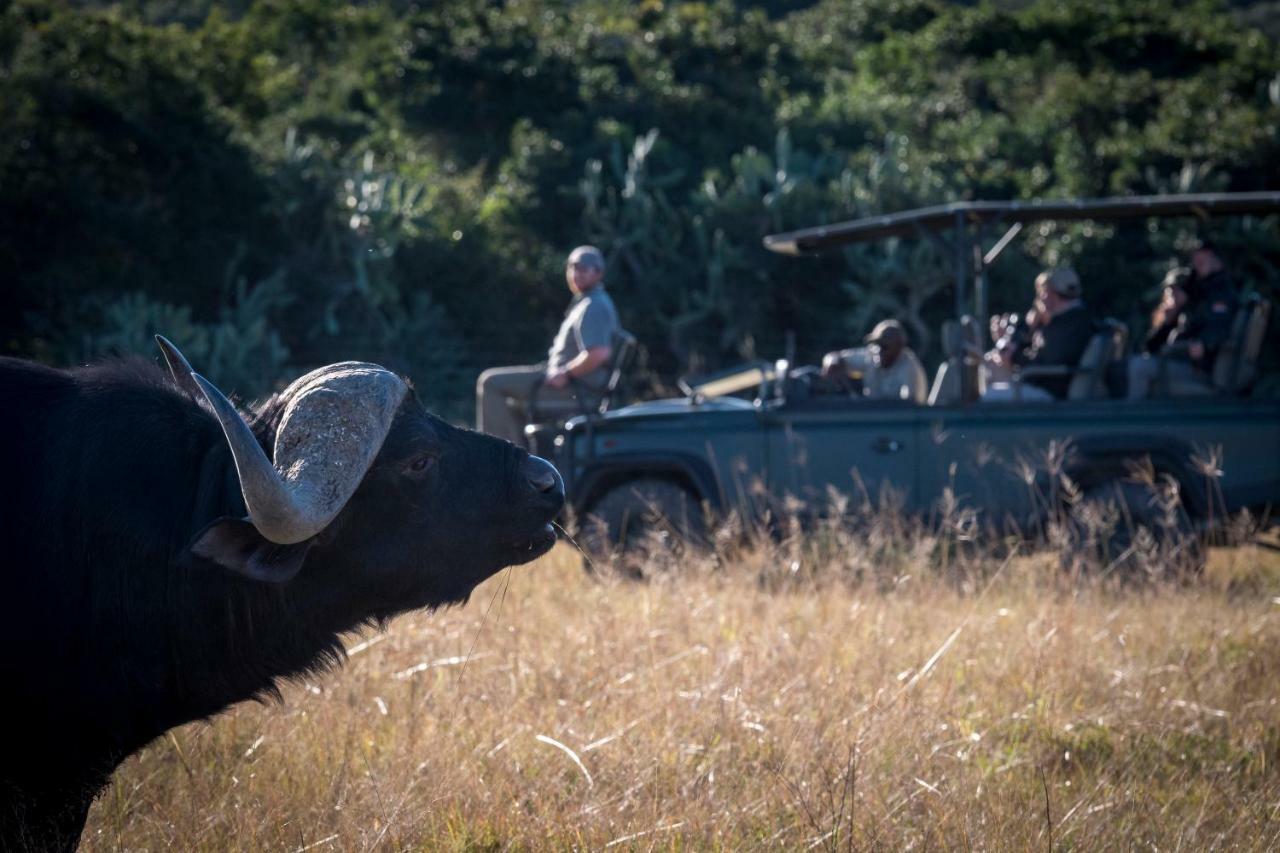 Addo Elephant Safari Lodge - Bellevue Forest Reserve Paterson Exterior photo