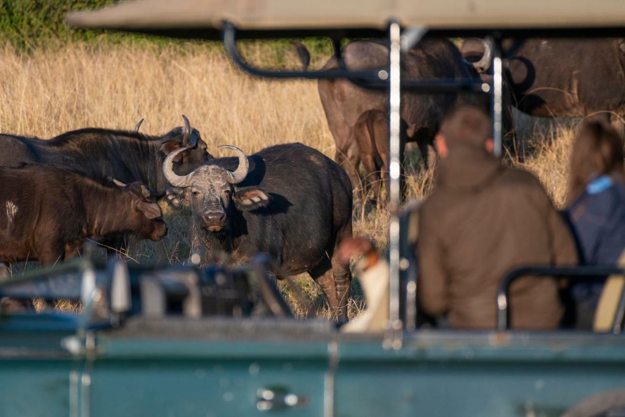 Addo Elephant Safari Lodge - Bellevue Forest Reserve Paterson Exterior photo