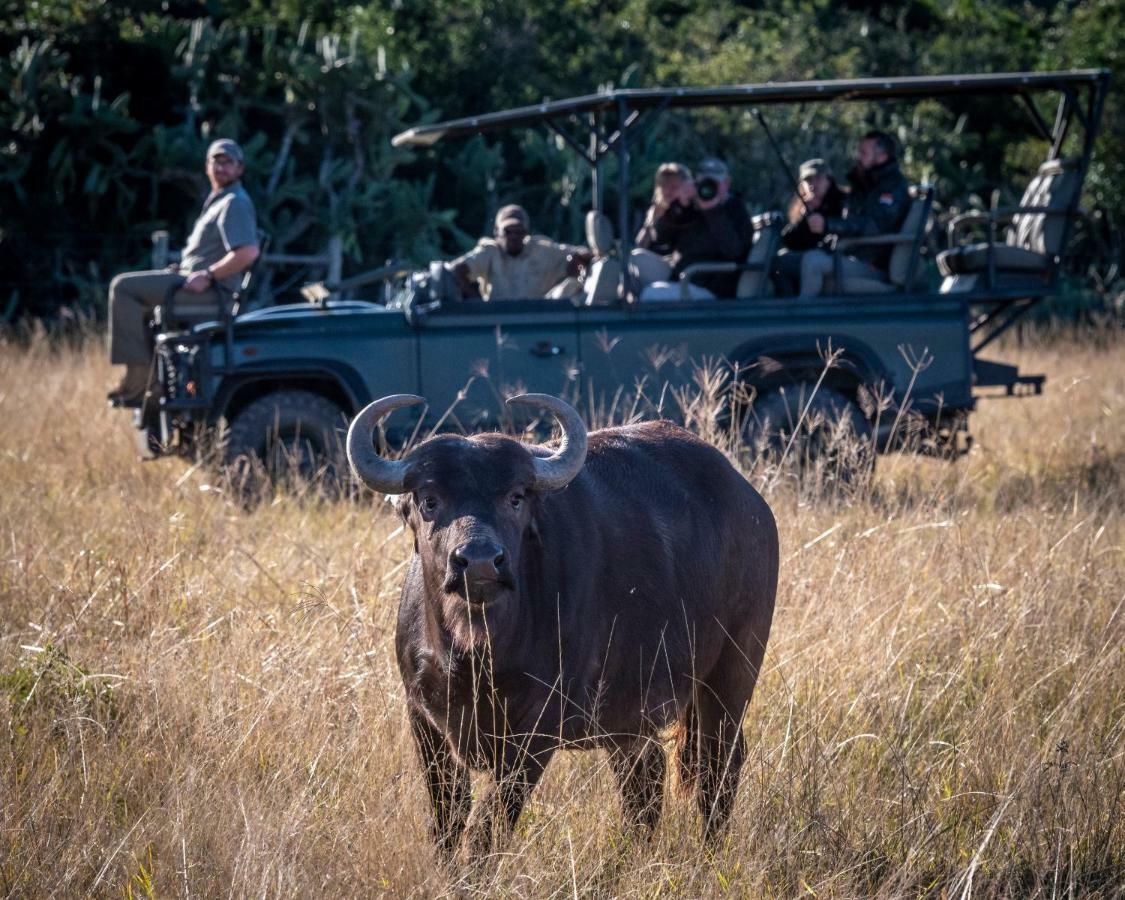 Addo Elephant Safari Lodge - Bellevue Forest Reserve Paterson Exterior photo